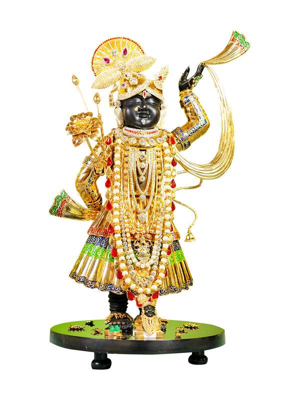 Buy Ornamental Srinath Ji Large